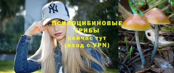спайс Арсеньев