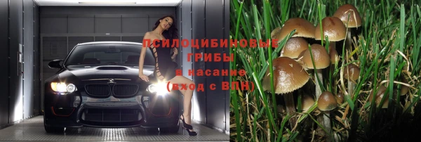 трава Алексеевка